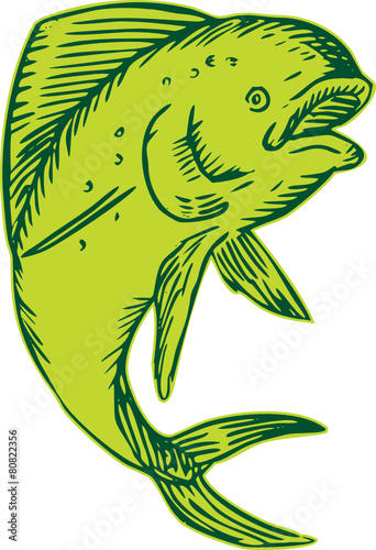 Dolphin Fish Jumping Etching
