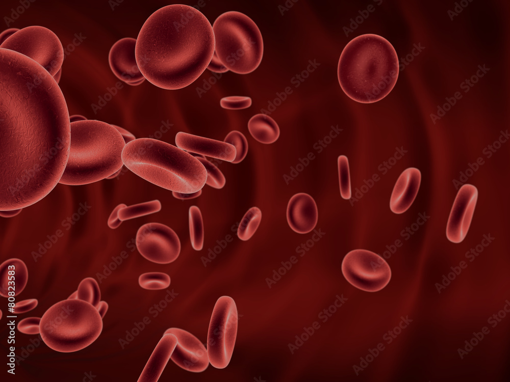 Blood Cells Flowing Blood Cells Flowing