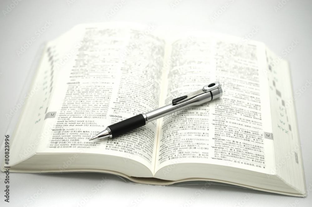 An English-Japanese dictionary and ball-point pen. An English-Japanese dictionary and ball-point pen.