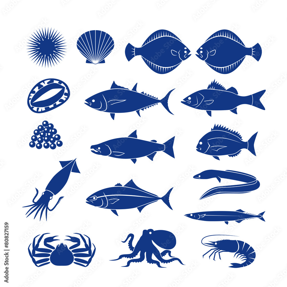 Fototapeta premium icon56