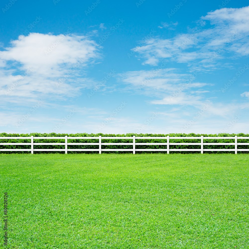 Long fence and green grass Long fence and green grass