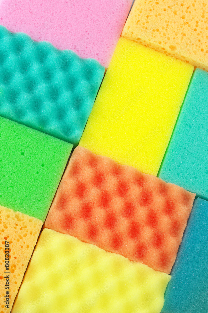 Colorful sponges