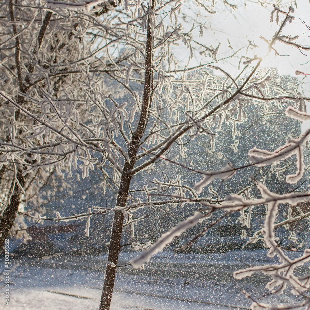 Snowfall background Snowfall background