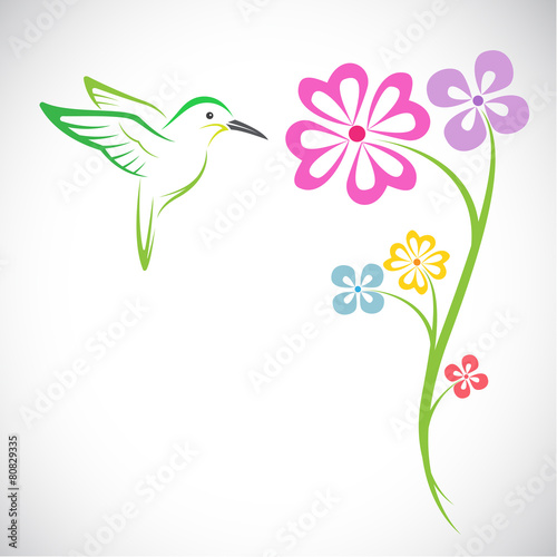 Vector design of hummingbird and flowers on white background
