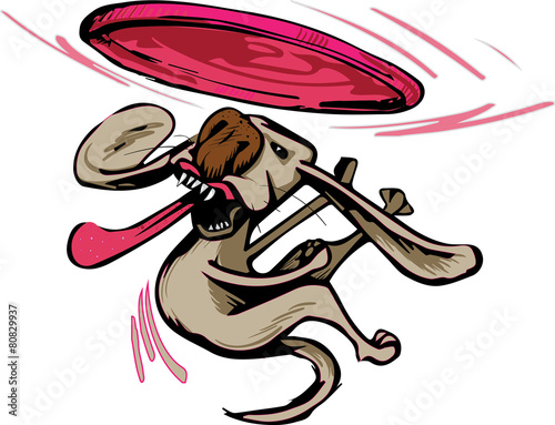 Slika na platnu dog catching a disc