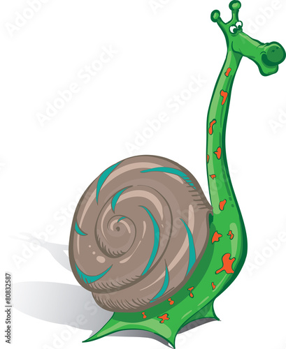 strange snail