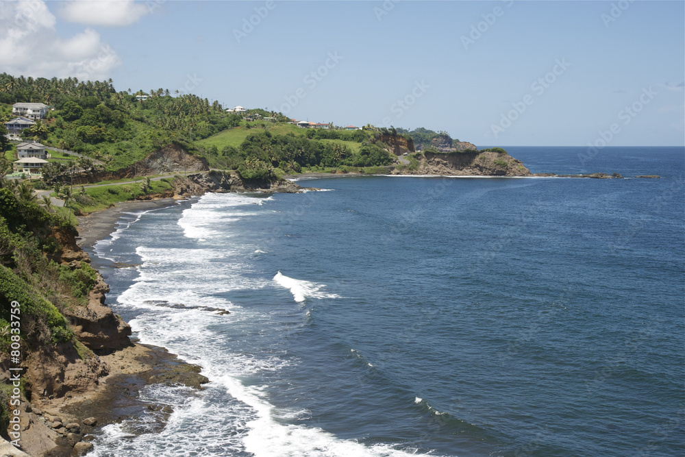 Fototapeta premium East Coast St Vincent & The Grenadines Caribbean 13