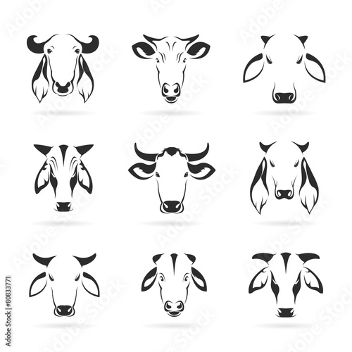 Vector set of cow head on white background