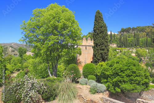 Alhambra garden, Granada, Andalusia, Spain