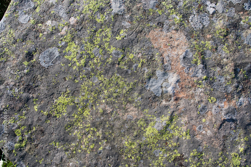 The surface of the granite monolith