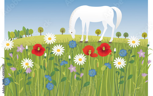 Summer meadow
