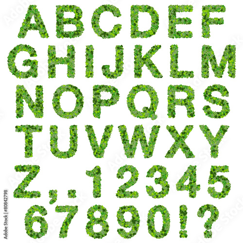 Alphabet with numbers made from green leaves.
