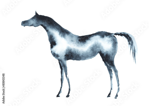 Wet watercolor arabian horse. Vector.