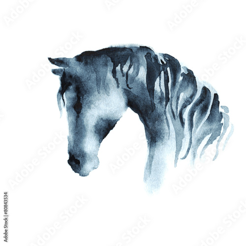 Wet watercolor horse head. Vector.