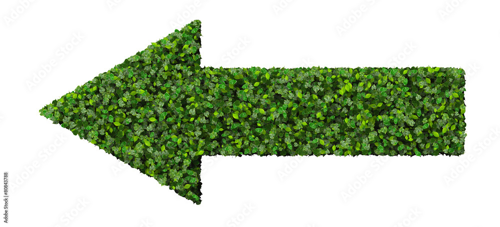 Obraz premium Arrow made from green leaves.