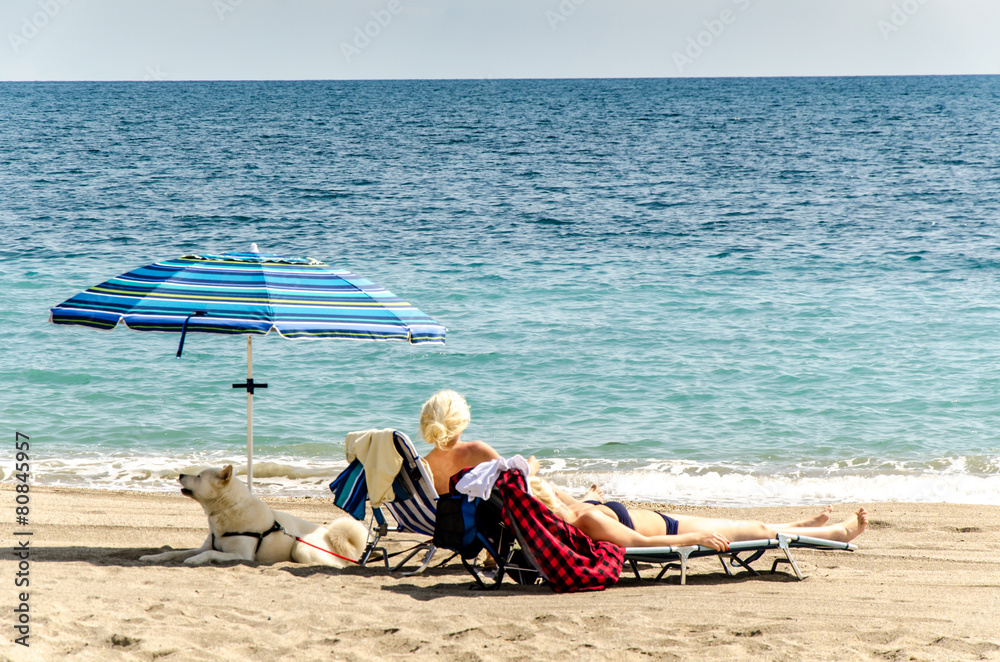 Frauen auf Liegestühlen mit Hund am Strand Frauen auf Liegestühlen mit Hund am Strand
