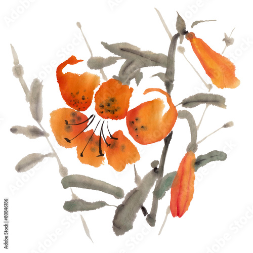 Tiger lily