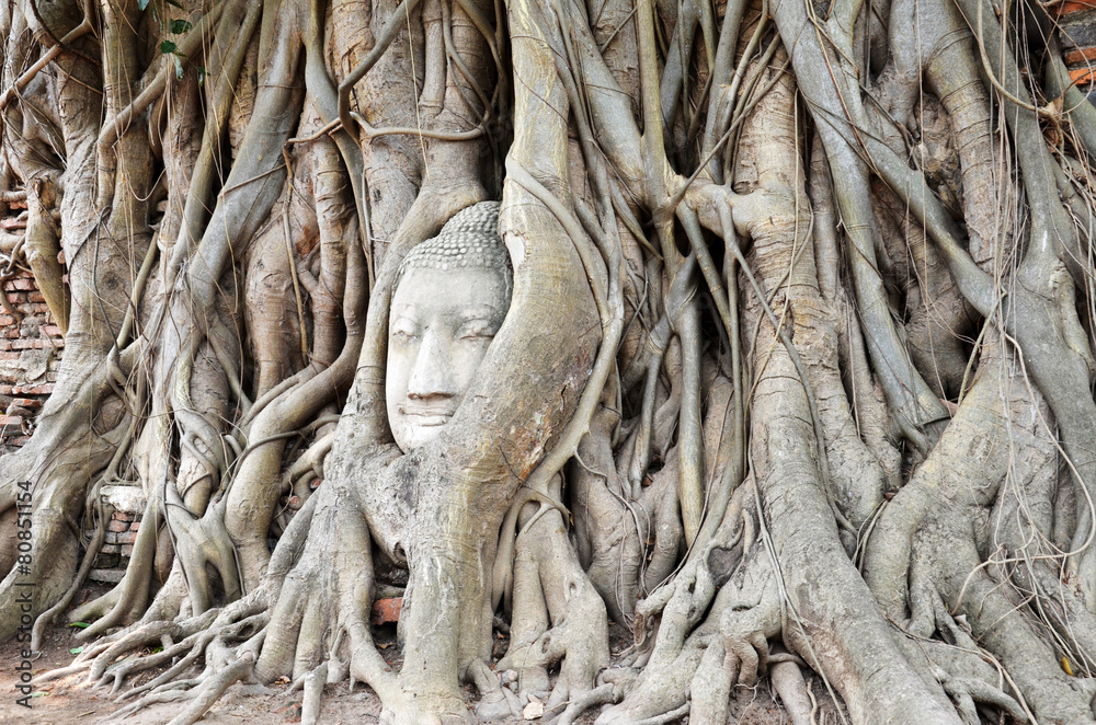 The head of the sandstone buddha image The head of the sandstone buddha image