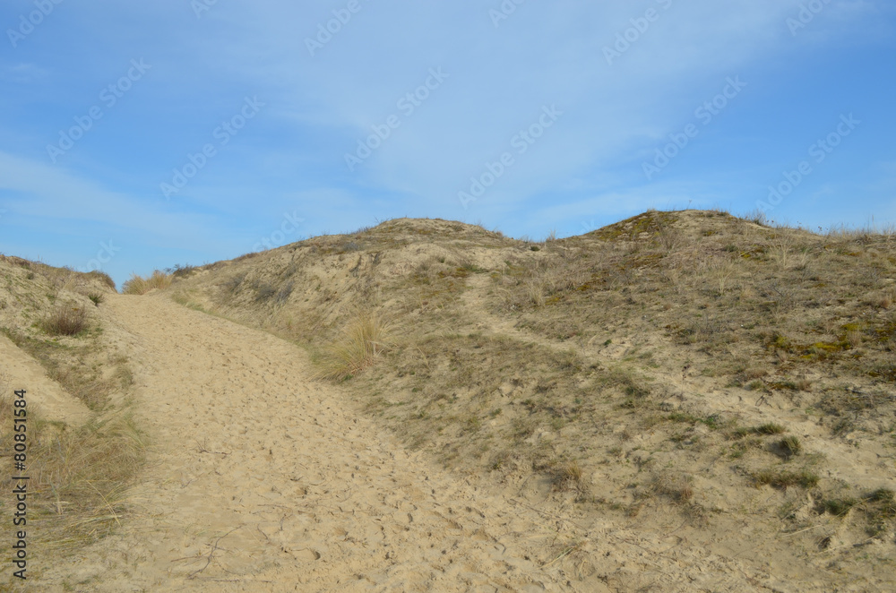 dunes in nature reserve, France