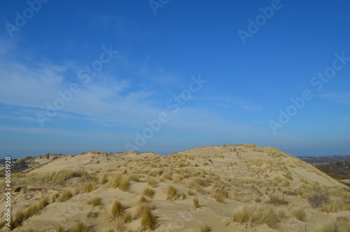 dune in nature reserve  France