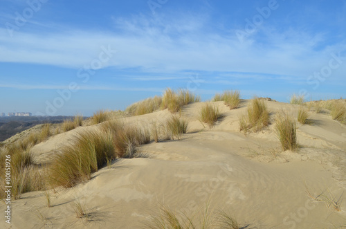 dune in nature reserve, France