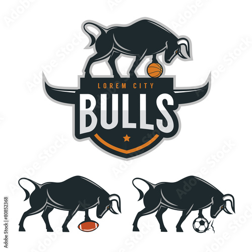 Bull mascot for sport teams