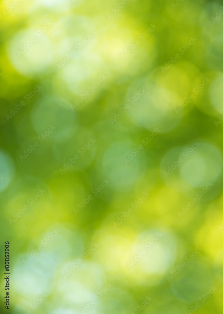 Obraz premium Natural blurred background.