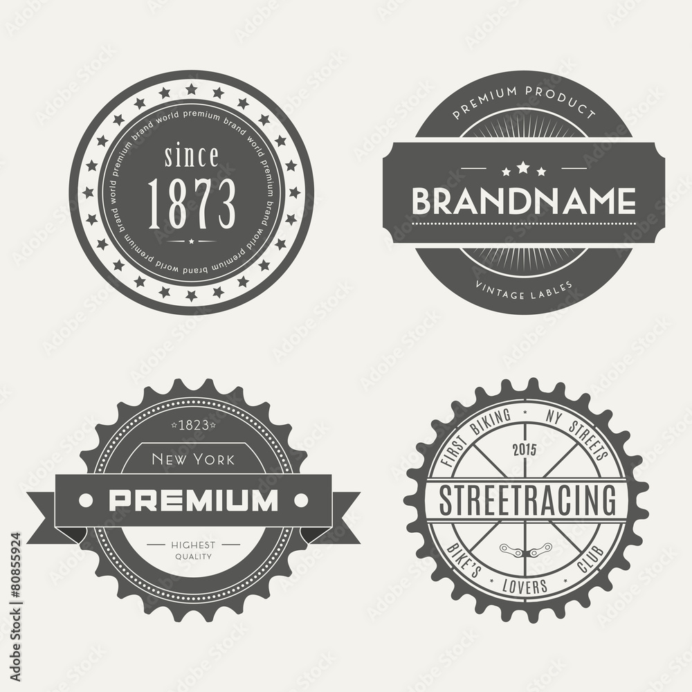 Retro Vintage Insignias or Logotypes set. Vector design elements