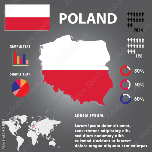 Country Infographics Template Vector