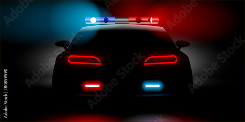 realistic police car backwards