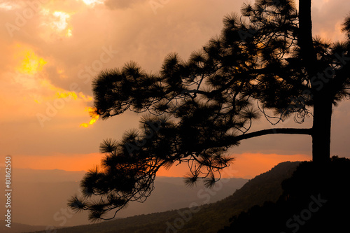 phukradueng national park photo