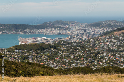 aerial view of Wellington harbor in New Zealand