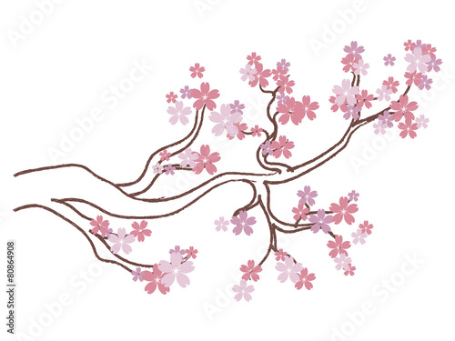 Blooming Sakura Branch