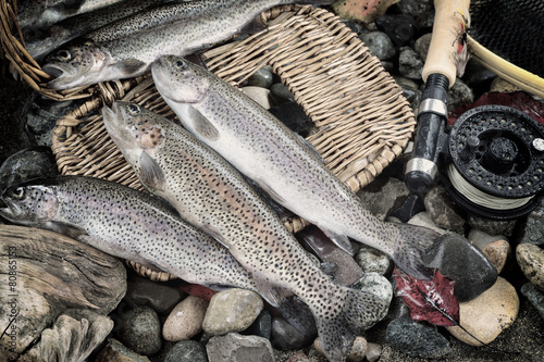 Bild auf Leinwand Trout fishing in vintage concept
