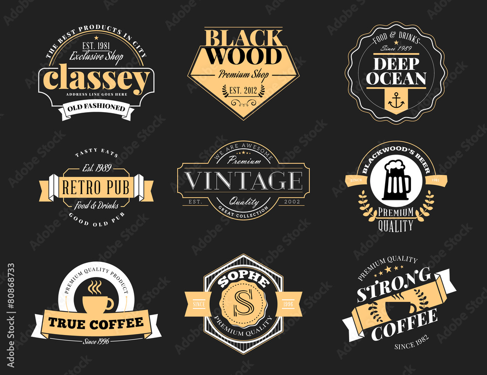 Set of Retro Vintage Badges and Logotypes