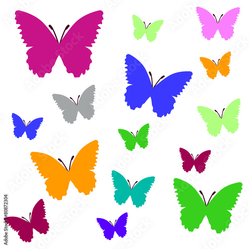 papillon