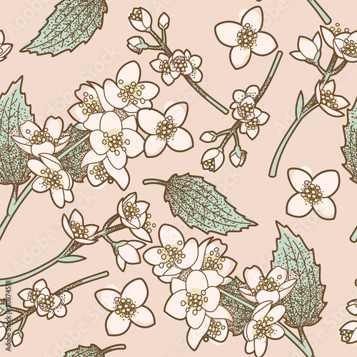 Jasmine flowers seamless background