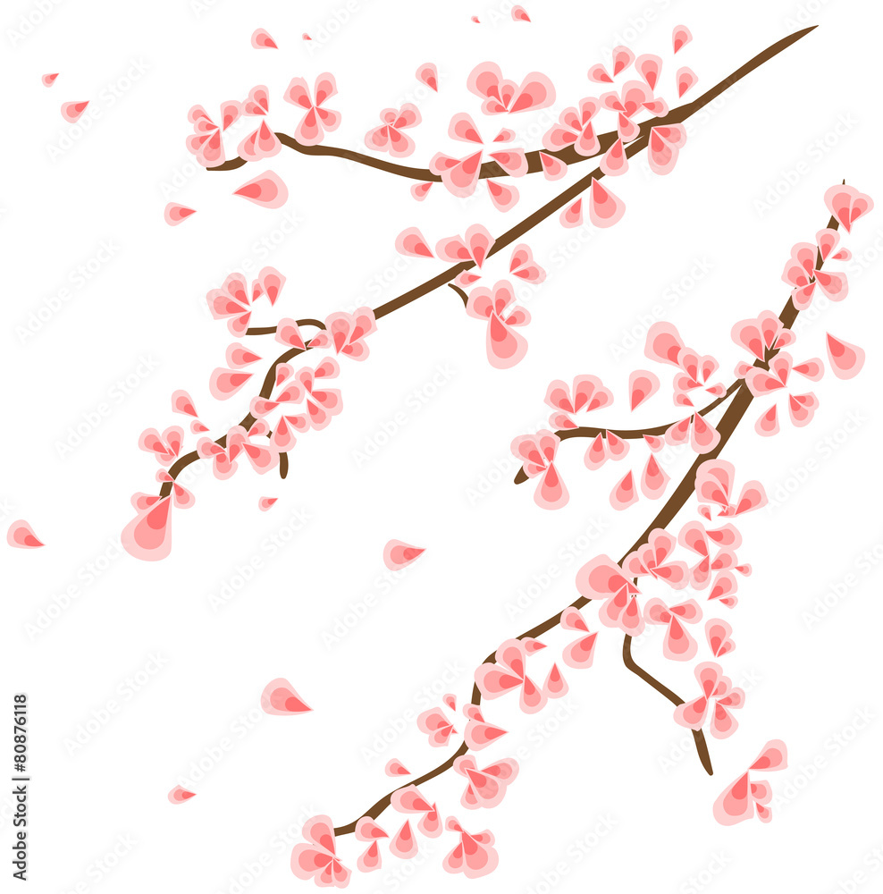 Branch with sakura flowers