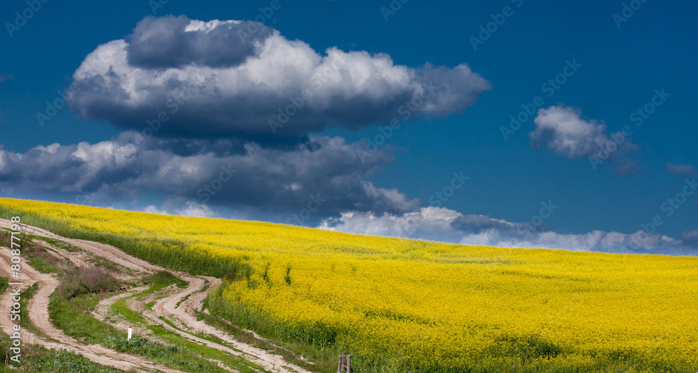 Obraz premium Road lane in mountain and deep blue sky.