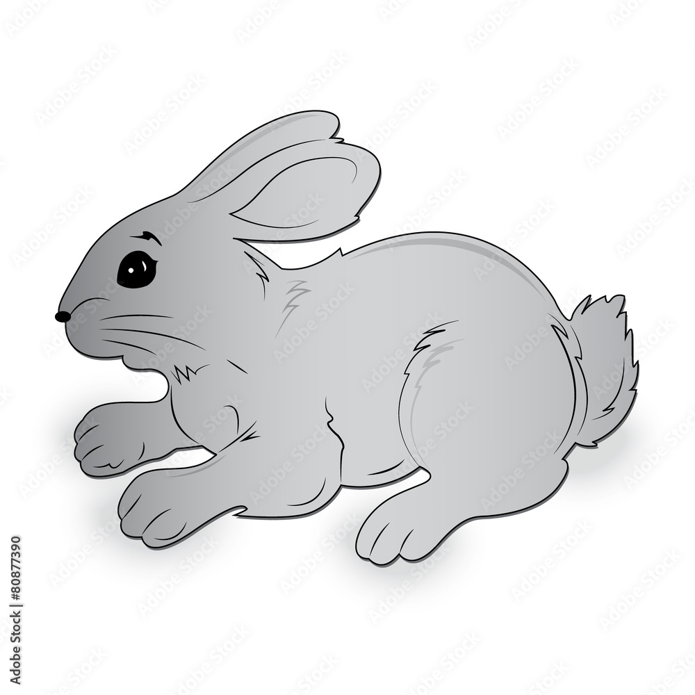 Rabbit, vector, illustration Rabbit, vector, illustration