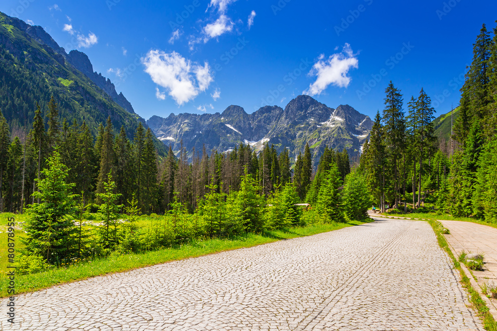 Beautiful scenery of the trail in Tatra mountains, Poland - obrazy, fototapety, plakaty 
