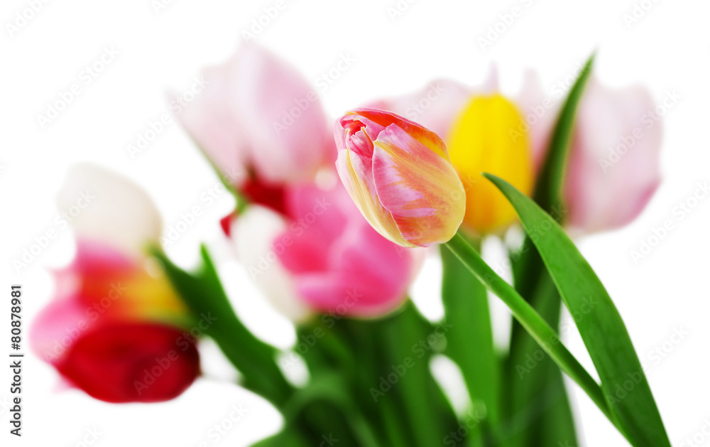 Fresh bouquet with tulips on blurred background Fresh bouquet with tulips on blurred background