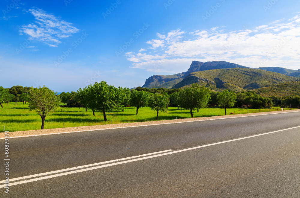 Road in green countryside landscape of Majorca island, Spain