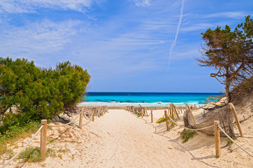Fototapete Abstieg zum Strand Zugang zum Cala Agulla Strand Mallorca  © pkazmierczak