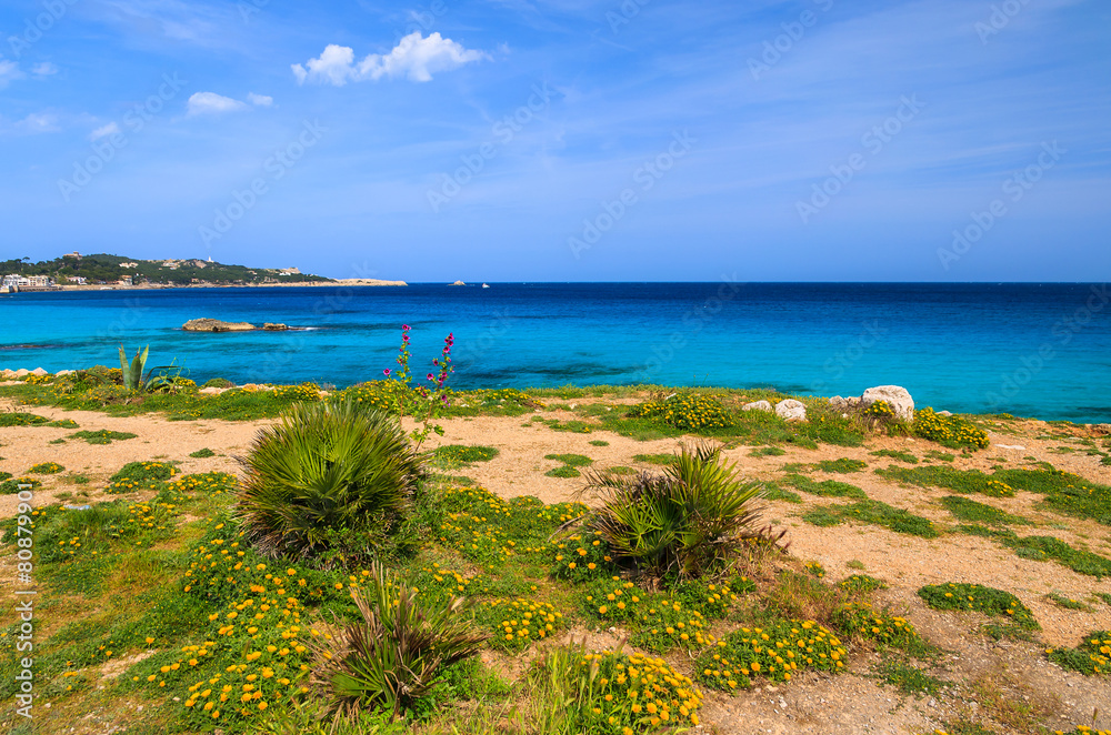 View of Majorca island coast in Son Moll town, Spain
