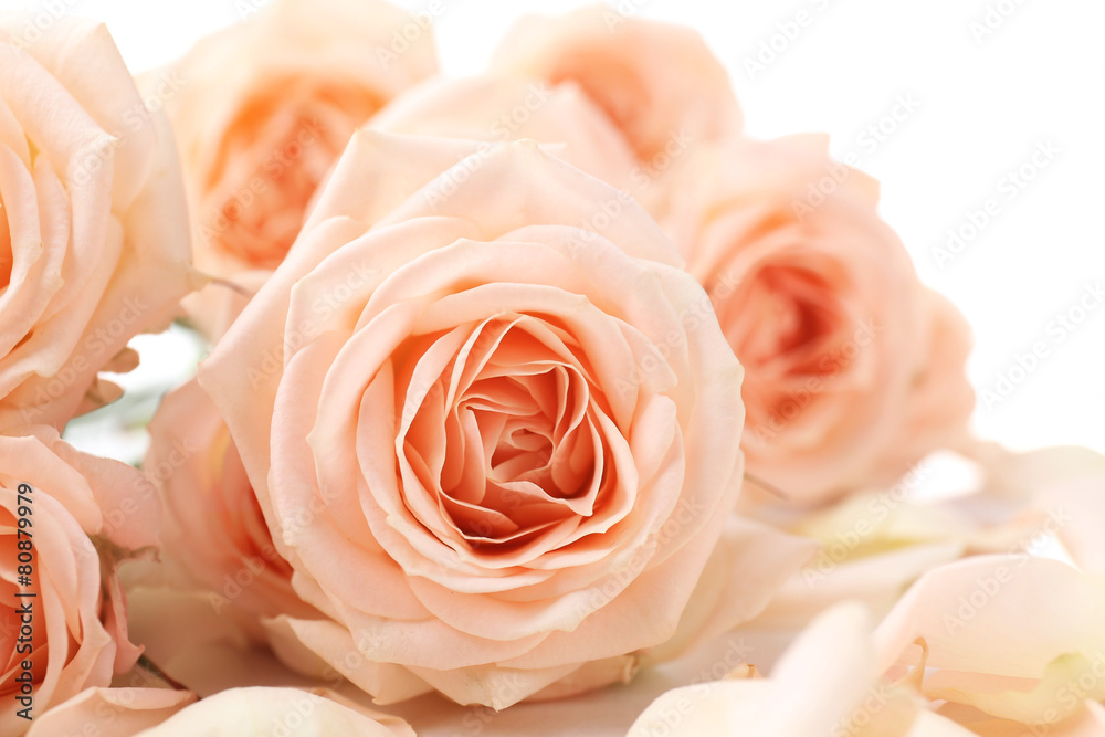 Bouquet of beautiful fresh roses, closeup