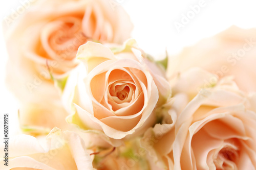 Bouquet of beautiful fresh roses  closeup