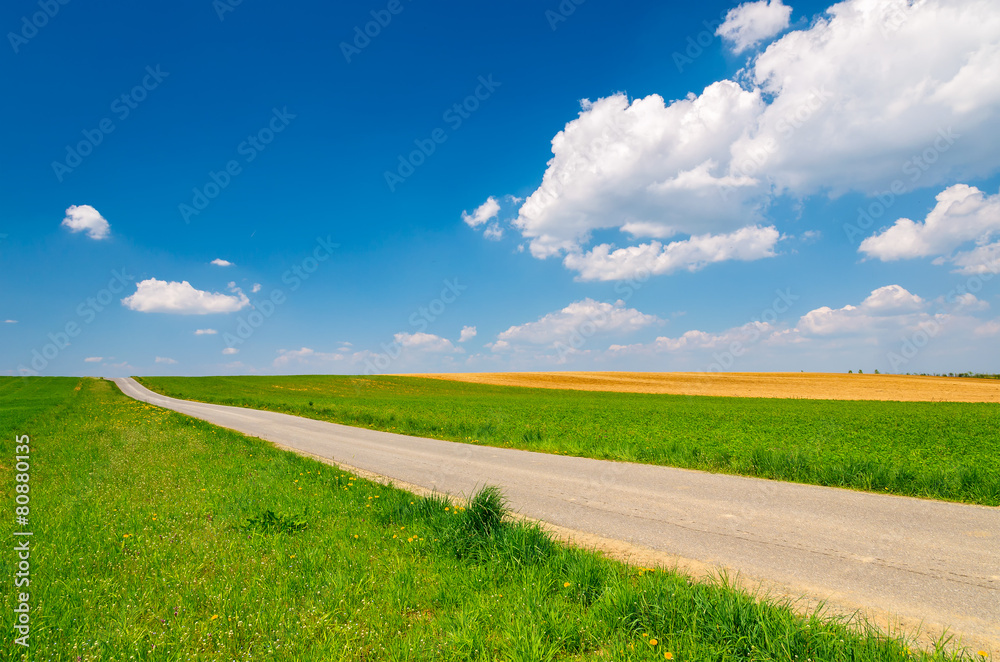 Fototapeta premium Countryside road in spring landscape of Burgenland, Austria