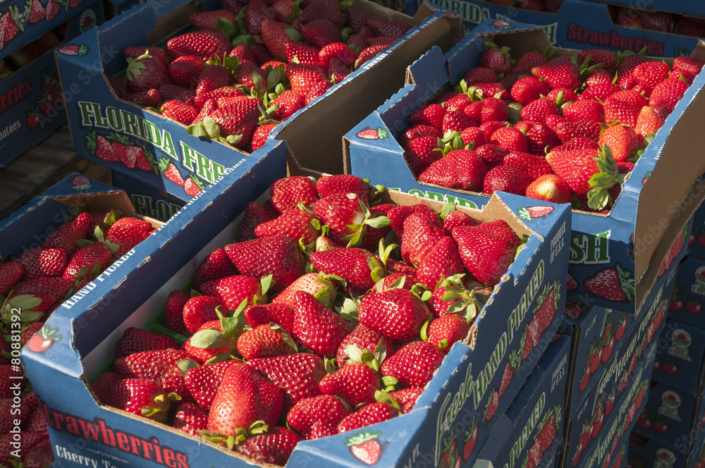 Strawberries StockFoto Adobe Stock
