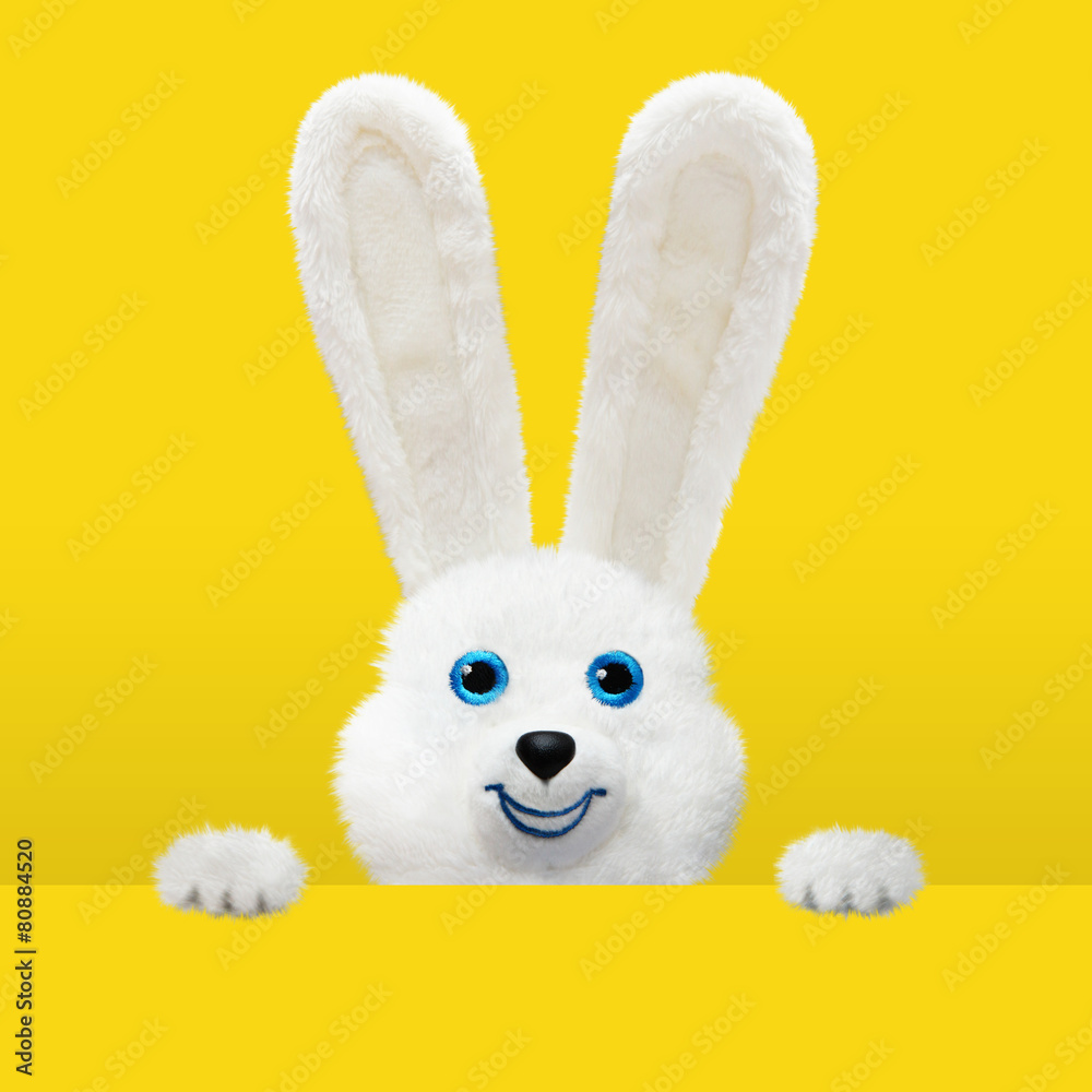 Obraz premium Cooler, weisser Osterhase